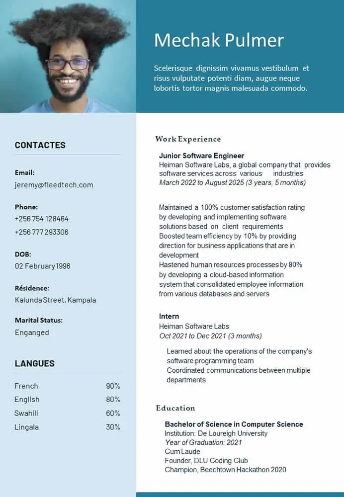 Engineer CV - Free editable CV Template in PowerPoint