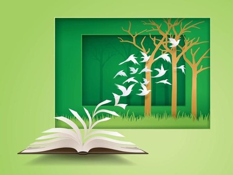 Life Lessons We Don’t Learn in School